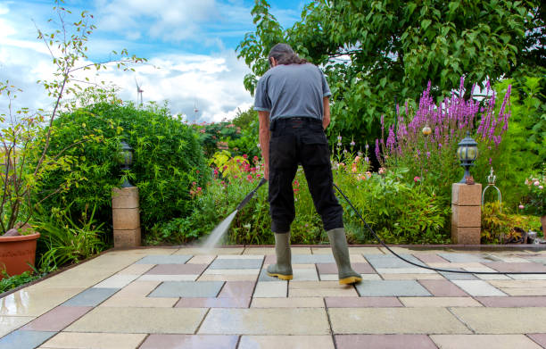 Best Roof Washing  in Fruitdale, CA